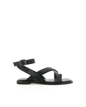 USHI - BLACK
